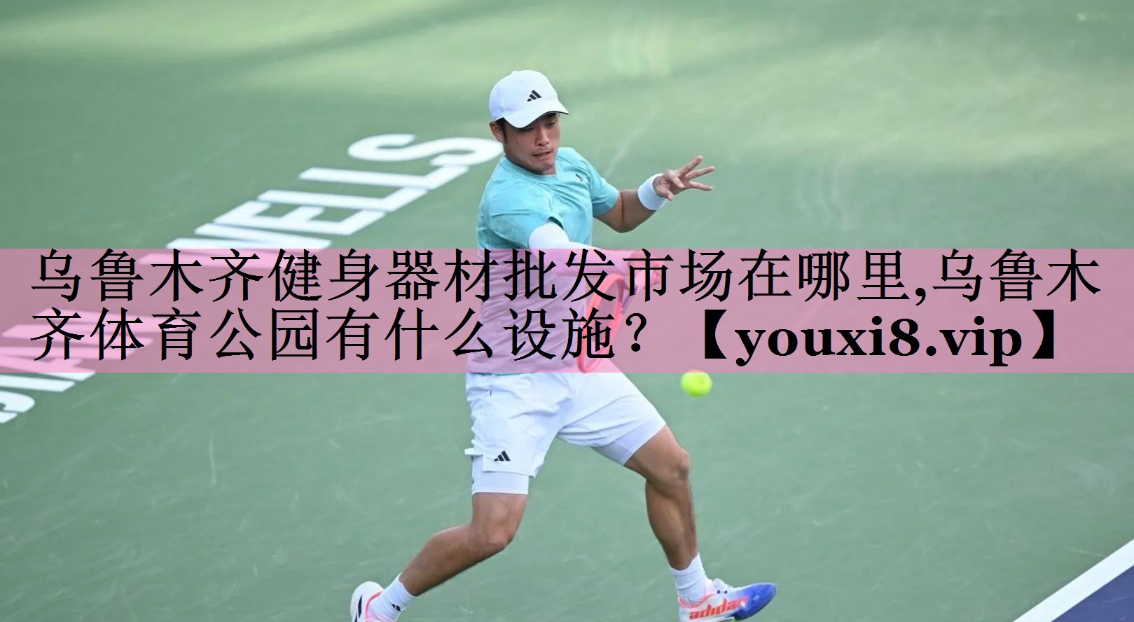 乌鲁木齐健身器材批发市场在哪里,乌鲁木齐体育公园有什么设施?