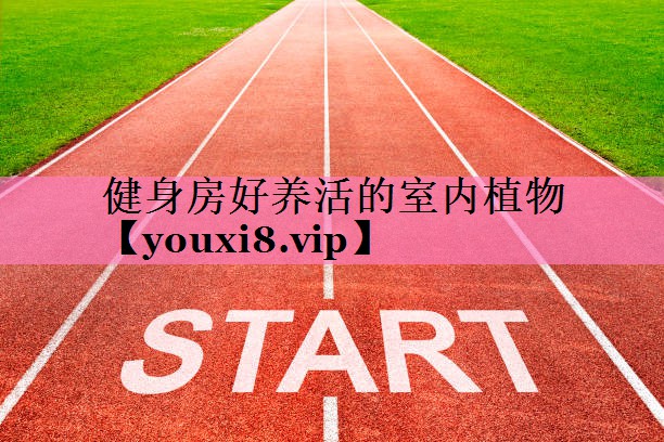 健身房好养活的室内植物