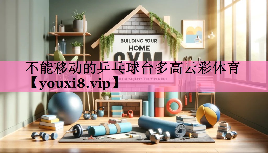 不能移动的乒乓球台多高云彩体育