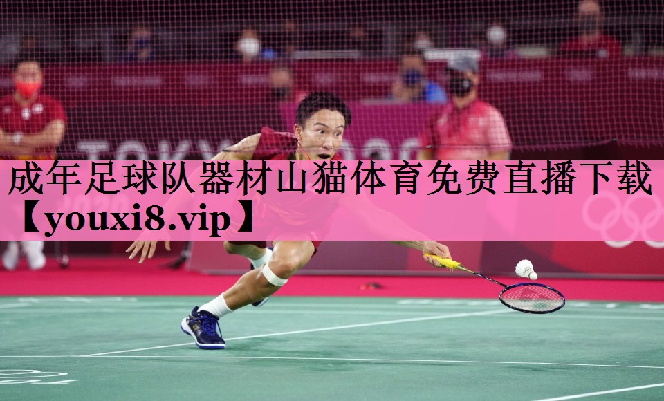 <strong>成年足球队器材山猫体育免费直播下载</strong>