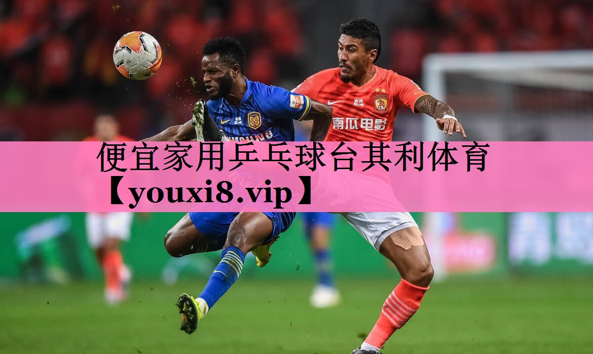 便宜家用乒乓球台其利体育