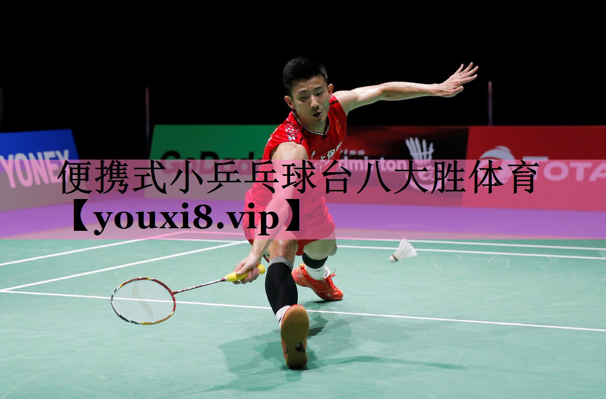 便携式小乒乓球台八大胜体育