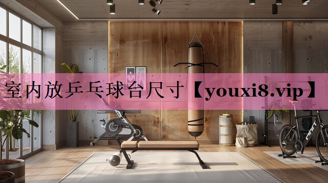 <strong>室内放乒乓球台尺寸</strong>