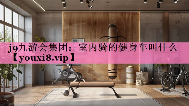 室内骑的健身车叫什么