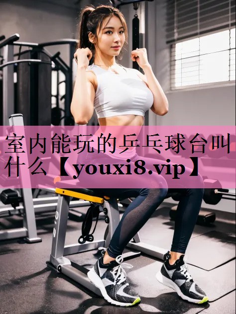 室内能玩的乒乓球台叫什么