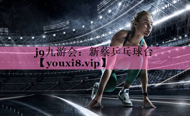 新蔡乒乓球台
