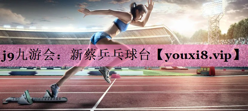 新蔡乒乓球台