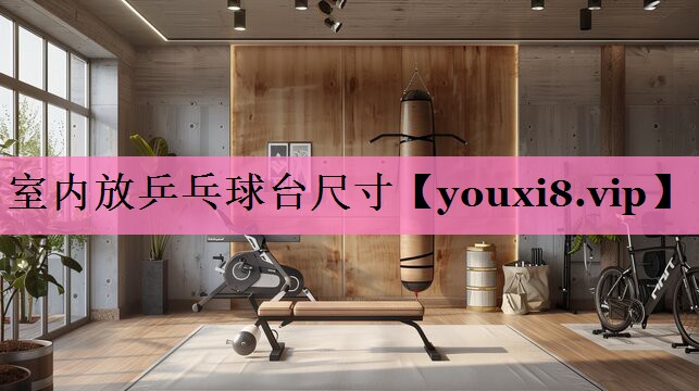 室内放乒乓球台尺寸